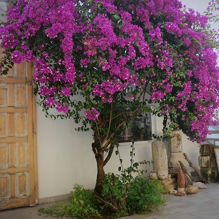 Casa De La Fra Διαμέρισμα Χέρεζ Εξωτερικό φωτογραφία