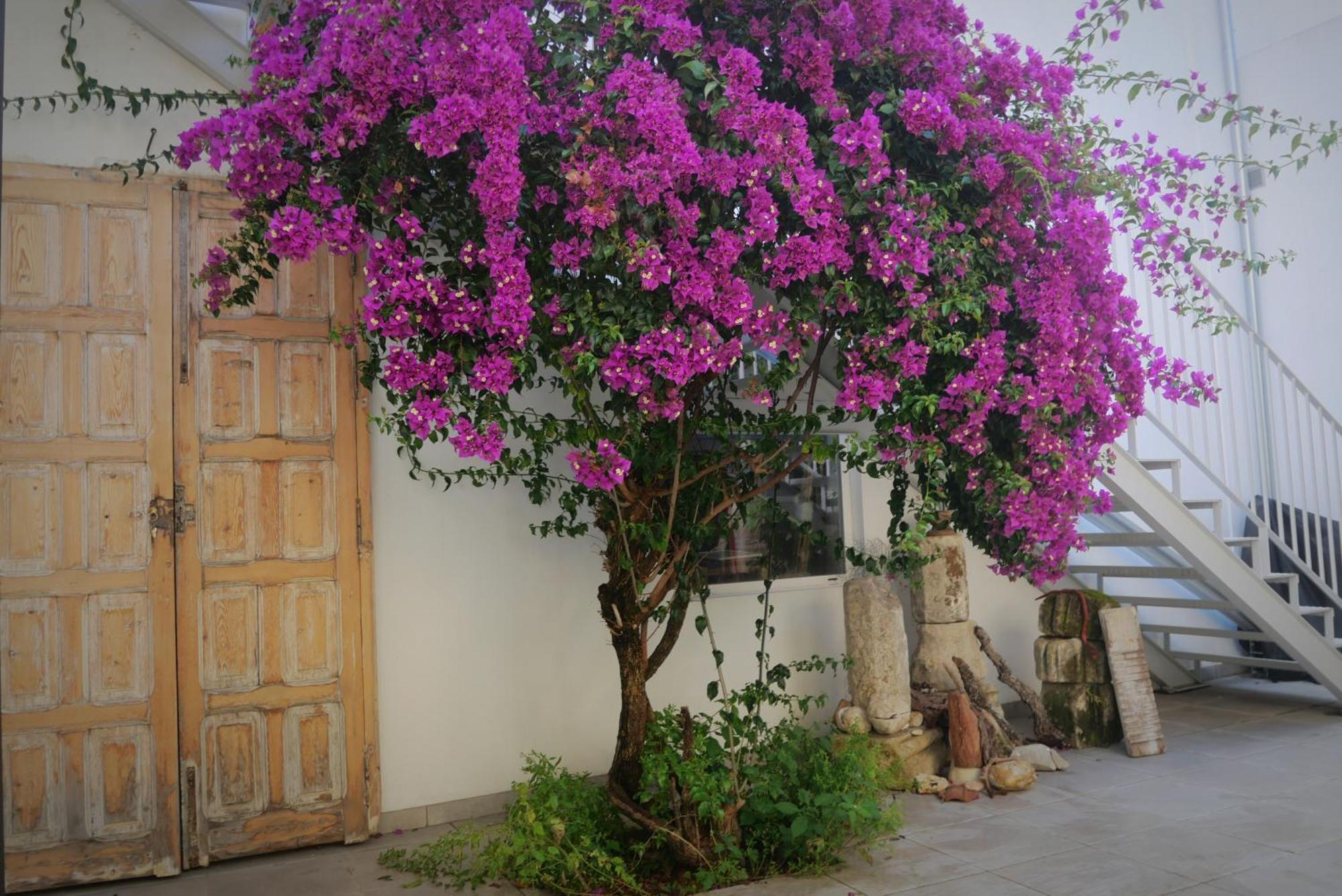 Casa De La Fra Διαμέρισμα Χέρεζ Εξωτερικό φωτογραφία